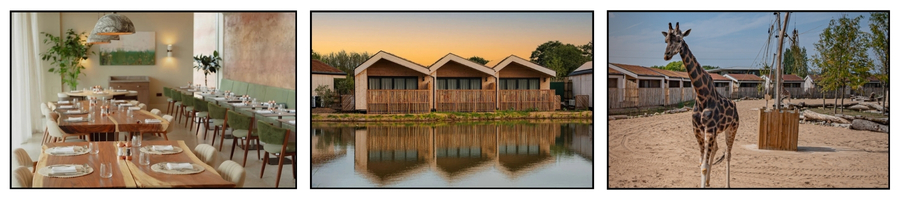 The Reserve at Chester Zoo