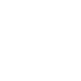 AA Inspectors Choice 2024