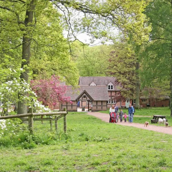 A family walking dogs on a path through a green park, with a timber-framed building among the trees.