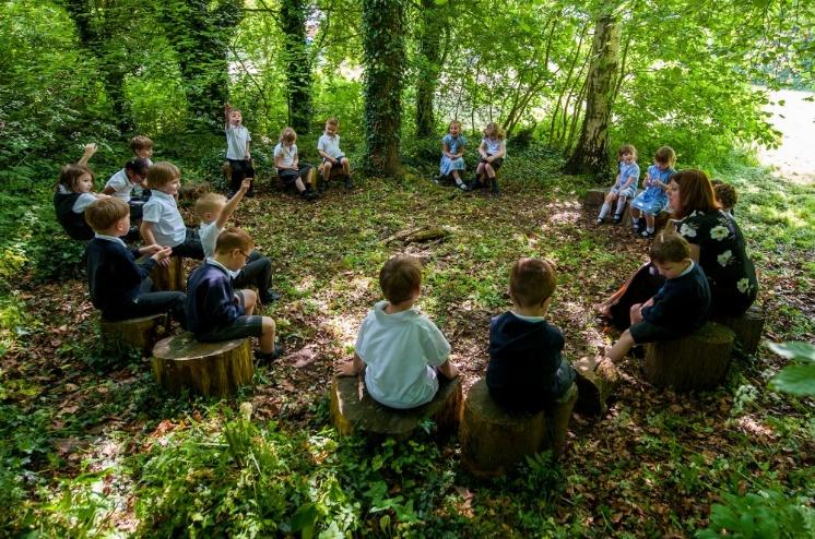 A group of schoolchildren sitting on tree stumps in a wooded outdoor classroom with a teacher.