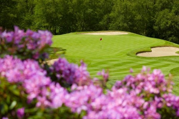 golf green in the distance
