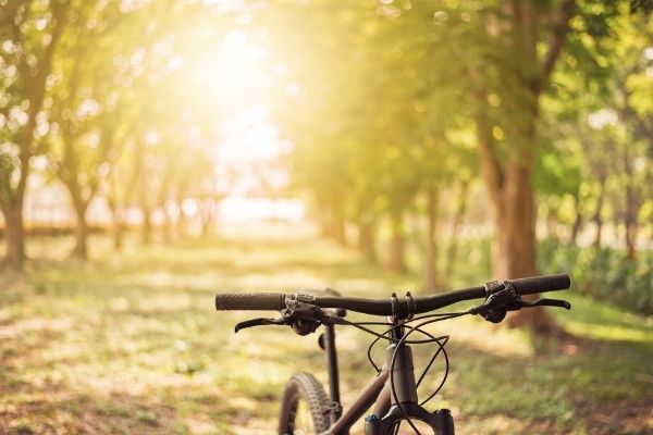 early morning bike ride
